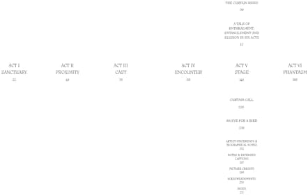 Aviary: The Bird in Contemporary Photography - Image 3