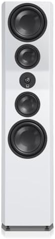 Rear terminal connection panel of SVS Ultra Evolution Pinnacle speakers