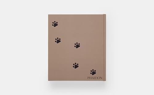 Cat - Image 3