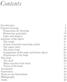 Anatomy and Perspective: The Fundamentals of Figure Drawing - Image 4