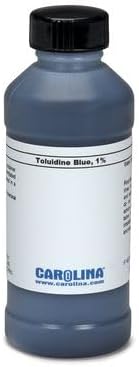 Toluidine Blue O, 1% Aqueous, Laboratory Grade, 100 mL - Image 3