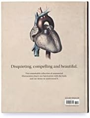 Anatomica: The Exquisite and Unsettling Art of Human Anatomy - Image 4