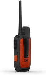 Close up view of the Alpha TT25 collar orange strap and beacon.