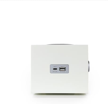 Rear panel connectivity options of the Tivoli Audio Model Three