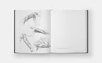 Figure Drawing Atelier: An Instructional Sketchbook - Image 6