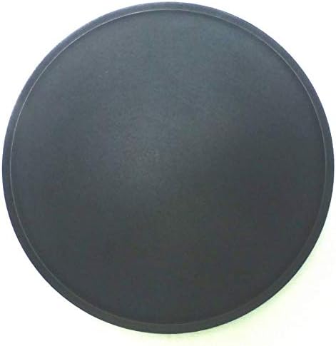 Close up of high grade paper pulp material on speaker dust cap
