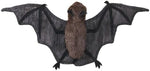Folkmanis miniature bat puppet placed on a finger to demonstrate storytelling use.