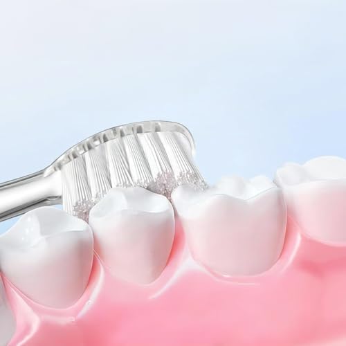 White replacement toothbrush heads compatible with Seago SG977 for toddlers