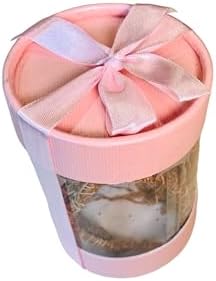 Vetiver Root Egyptian Best Quality - Image 5