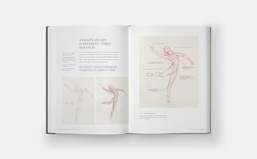 Dynamic Human Anatomy: An Artist's Guide to Structure, Gesture, and the Figure in Motion - Image 7