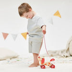 Hape early learning and development push pull toy packaging showing official product specifications