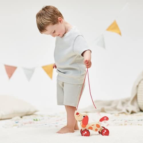 Hape early learning and development push pull toy packaging showing official product specifications