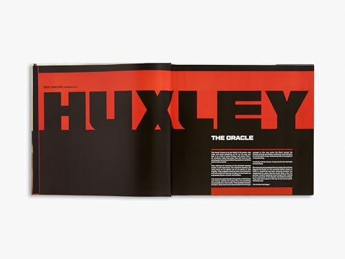 HUXLEY: The Oracle - Image 3