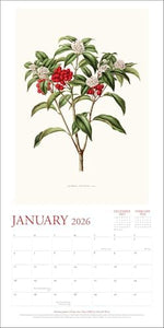 The New York Botanical Garden 2026 Wall Calendar - Image 4