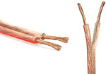 Flexible clear PVC jacket detail on Kinter speaker wire