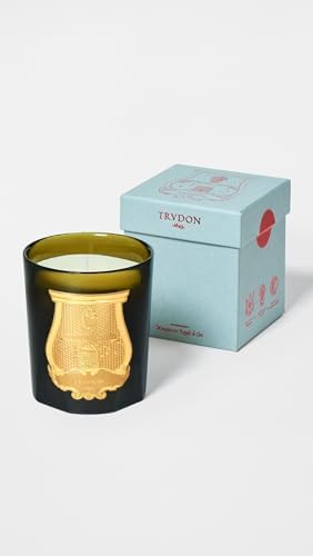 Top angle view of Cire Trudon Moroccan mint tea candle wax