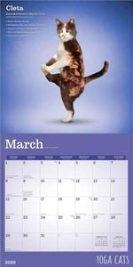 Yoga Cats OFFICIAL | 2026 12 x 24 Inch (Hanging) Monthly Square Wall Calendar | Plastic-Free | BrownTrout | Animals Humor Pets - Image 4