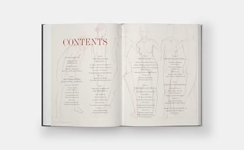 Basic Human Anatomy: An Essential Visual Guide for Artists - Image 3