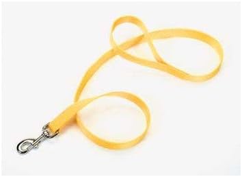 Coastal nylon puppy leash front view blue pet lead