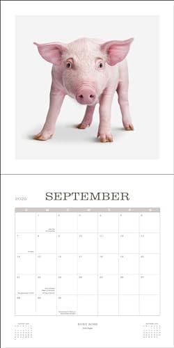 Farm Life 2025 Wall Calendar - Image 6