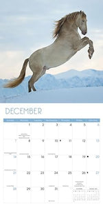 2025 Horses Wall calendar - Image 6