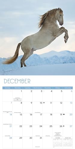 2025 Horses Wall calendar - Image 6