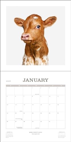 Farm Life 2025 Wall Calendar - Image 4