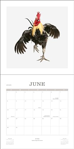 Farm Life 2025 Wall Calendar - Image 5