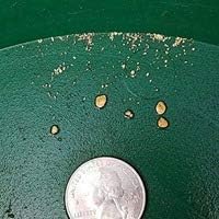 DNJ 4 Ounce Gold Paydirt retail packaging