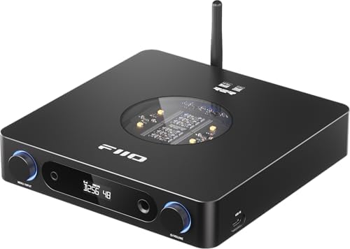 FiiO high fidelity desktop headphone amplifier back panel with balanced XLR and dual RCA audio outputs