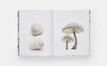 STILL: The Art of Noticing - Image 3