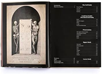 Anatomica: The Exquisite and Unsettling Art of Human Anatomy - Image 6
