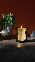 Handblown glass vessel of Cire Trudon classic candle