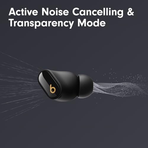 Beats Studio Buds + charging case with earbuds