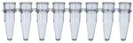 Genesee Scientific 8-well PCR strip tubes front view laboratory supplies