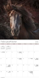 2025 Horses Wall Calendar (Bilingual French) - Image 4