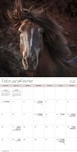 2025 Horses Wall Calendar (Bilingual French) - Image 4
