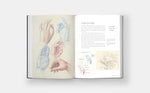 Dynamic Human Anatomy: An Artist's Guide to Structure, Gesture, and the Figure in Motion - Image 8