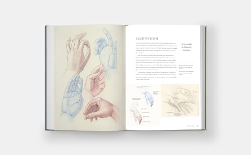 Dynamic Human Anatomy: An Artist's Guide to Structure, Gesture, and the Figure in Motion - Image 8