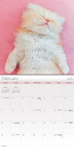 2025 Cuddly Kittens Mini Wall Calendar - Image 4