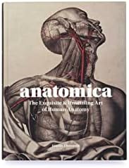 Anatomica: The Exquisite and Unsettling Art of Human Anatomy - Image 3