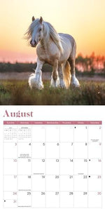 2025 Horses Mini calendar: Plastic Free Packaging - Image 6