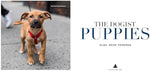 The Dogist Puppies - Image 3