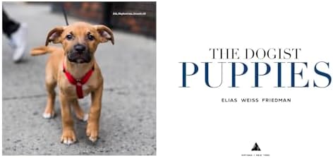 The Dogist Puppies - Image 3