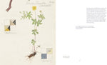 Hilma af Klint: What Stands Behind the Flowers - Image 8