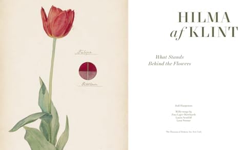 Hilma af Klint: What Stands Behind the Flowers - Image 4