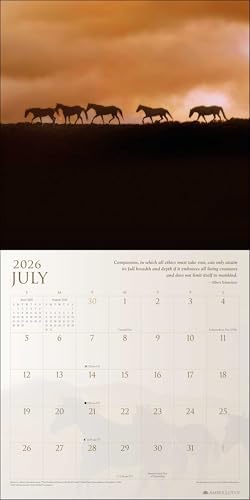 Spirit Horses 2026 Wall Calendar by Tony Stromberg - Image 4