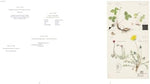 Hilma af Klint: What Stands Behind the Flowers - Image 7