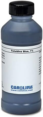 Toluidine Blue O, 1% Aqueous, Laboratory Grade, 100 mL - Image 2
