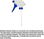 Brillianté manual sprayer bottle with drip-dry formula label for crystal maintenance